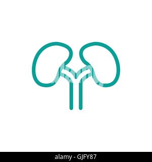 Kidneys thin line icon isolated on beige background Stock Vector