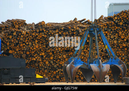 timber loading Stock Photo