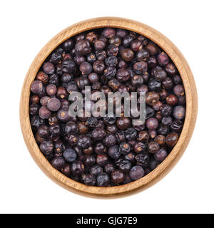 Juniper berries in a bowl on white background. Dried seed cones from Juniperus communis, a conifer, are used as spice. Stock Photo