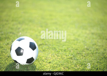 soccer Stock Photo