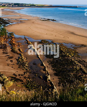 spittal-beach-mouth-of-river-tweed-near-berwick-rocks-on-the-tideline