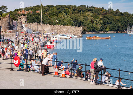 Conwy, North Wales, UK. 17th August 2016. Crowds on the medieval quay at Conwy enjoy the continuing warm weather. Credit:  travellinglight/Alamy Live News Stock Photo