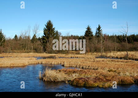 in venn Stock Photo