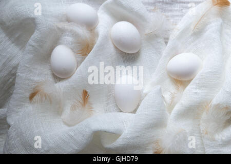 Eggs and feathers on white muslin cloth Stock Photo