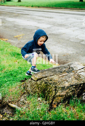 Boy climbing onto tree trunk Stock Photo