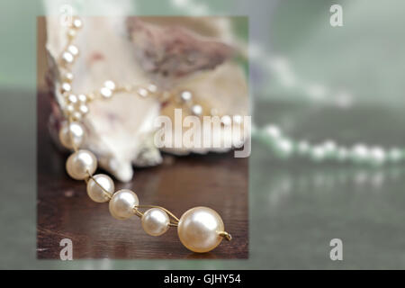 shell jewelry jewellery chain pearls pearl pearl necklet fashion shell ...