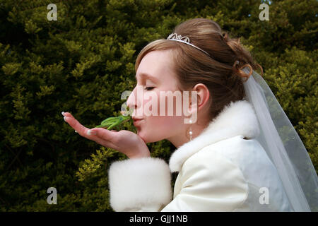 frog fairy tale prince Stock Photo