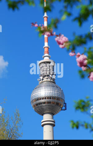 television tower Stock Photo