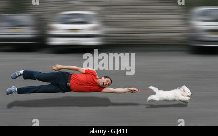 education dog funny Stock Photo