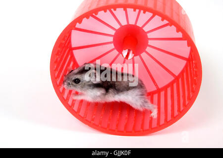 motion postponement moving Stock Photo