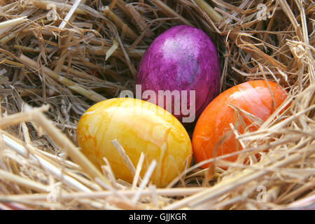 food aliment holiday Stock Photo