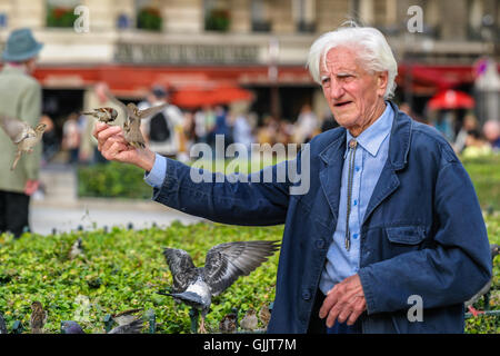 Man Feeding Birds in Paris, France. Stock Photo