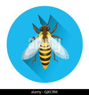 Bee Honey Insect Apiary Icon Stock Vector