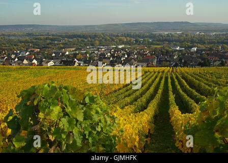 rudesheim abtei st. hildegard - ruedesheim eibingen abbey 02 Stock Photo