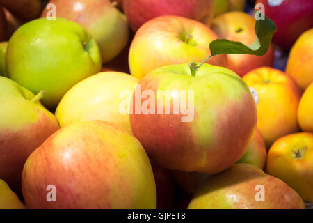 SunCrisp apples for sale at the Granville Island Public Market in Vancouver, British Columbia, Canada. Stock Photo