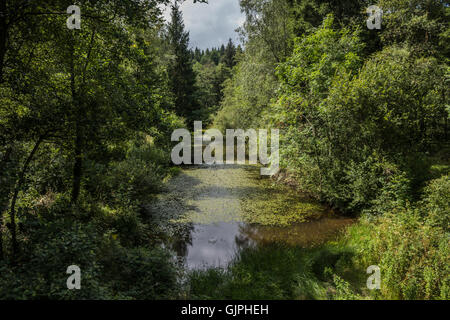 Wern Ddu Country Park near Caerphilly, Wales Stock Photo - Alamy