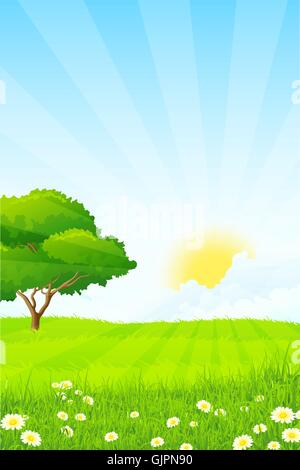 Green Grass Field Landscape with Blue Sky. Vector Illustration Stock ...