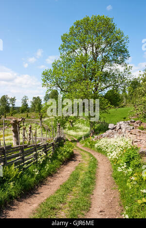 Farming Sweden Stock Photo, Royalty Free Image: 23600295 - Alamy