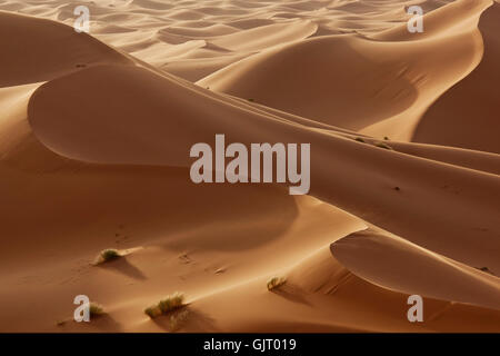 desert wasteland dune Stock Photo