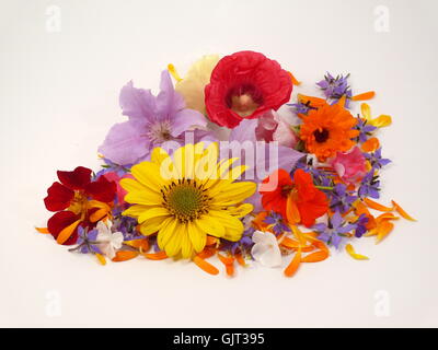 flowerpower Stock Photo