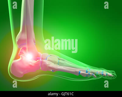 pain foot joint Stock Photo