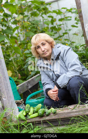 Mature woman with green cucumbers, autumn harvest from greenhouse Stock Photo