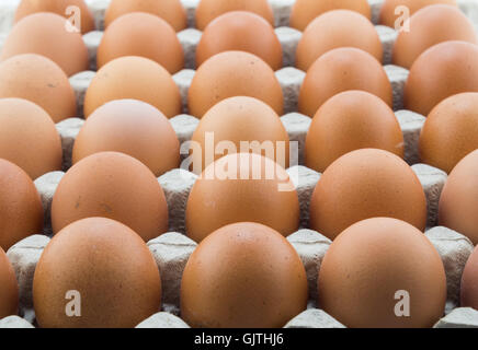 Background of fresh hen eggs in rows inside shop cardboard container Stock Photo
