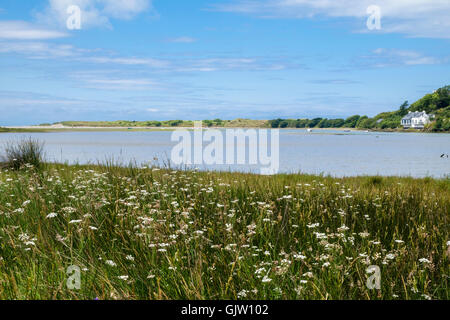 View to The Bennet across Afon Nyfer river estuary in Pembrokeshire Coast National Park in summer Newport Pembrokeshire Wales UK Stock Photo