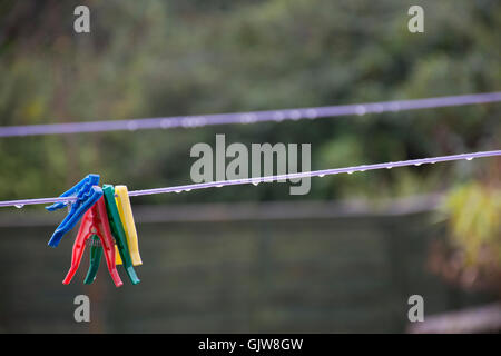 A bunch of brightly coloured clothes pegs on a wet washing line Stock Photo
