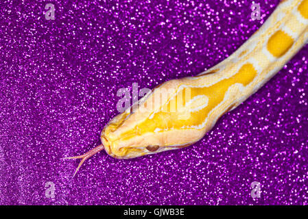 fear fear patterned Stock Photo