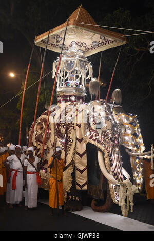 Kandy, Sri Lanka. 17th Aug, 2016. Sri Lankan Kandyan dancers with an elephant take part in a procession during the Esala Perahera festival in Kandy, some 116 km from Colombo, Sri Lanka, on Aug. 17, 2016. The ten-day festival has a great parade presented on Wednesday night, featuring Kandyan dancers, fire twirlers, traditional musicians, acrobatic fire performers and elephants, which draw thousands of tourists and spectators around the island. Credit:  A. Rjhitha/Xinhua/Alamy Live News Stock Photo