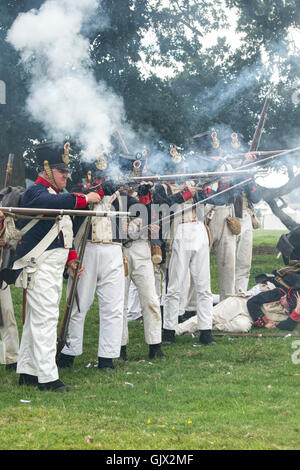 21st eme Regiment de Ligne on the battlefield of a Napoleonic war reenactment at Spetchley Park, Worcestershire, England Stock Photo