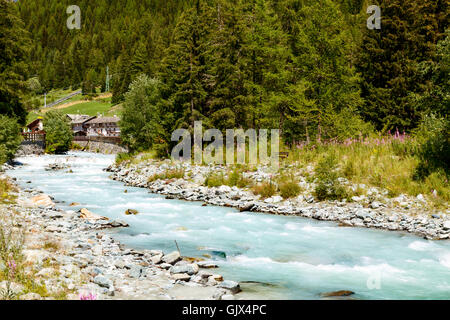 Stream going down hill surrounded by tall trees and cabins in background during the summer Stock Photo