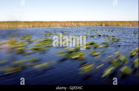 High speed motion blur view of an Everglades National Park landscape Stock Photo