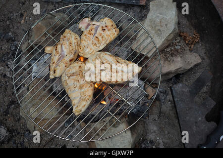 Munising, Michigan - Chicken on the grill at a campsite in Hiawatha National Forest. Stock Photo