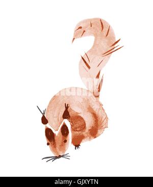 watercolor squirrel. hand drawn vector Stock Vector