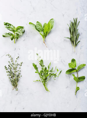 Six bunches of herbs on marble countertop: basil, spinach, rosemary, mint, thyme, rucola. From above shot