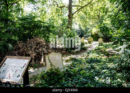 The Graveyard in St Johns Wood Cemetery London UK Stock Photo