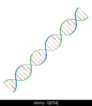 dna spiral Stock Vector