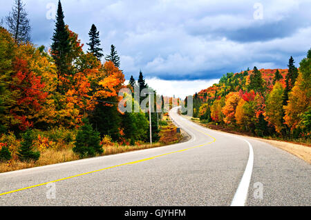 tree trees sight Stock Photo