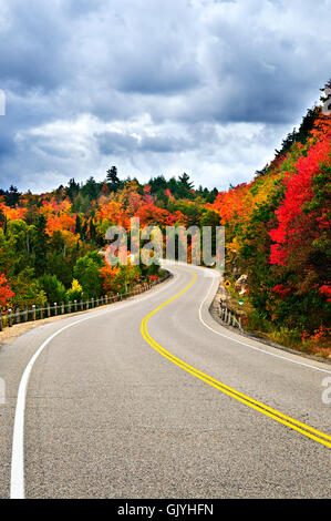 tree trees sight Stock Photo