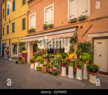 Venetian flower shop in a residential square or campo. Mature female looking in the window. Venice, italy. Stock Photo