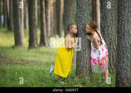 Two cute little girls friends in pine Park. Stock Photo