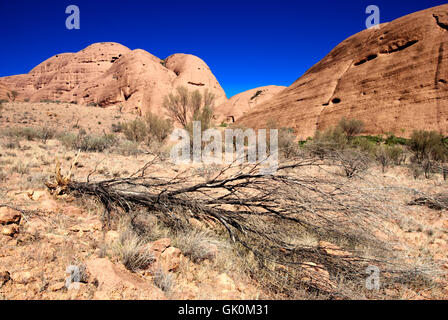 beautiful beauteously nice Stock Photo