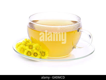 cup tea herb tea Stock Photo