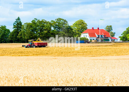Kalmar, Sweden - August 10, 2016: Harvester emptying crop into tractor trailer. Farmhouse and other tractor in background. Stock Photo