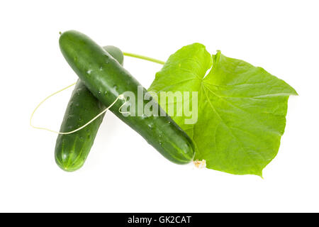 Two cucumbers with leaf and vine isolated on white background, high angle view Stock Photo