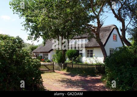 friesian thatched on juist Stock Photo