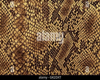 skin snake pattern Stock Photo