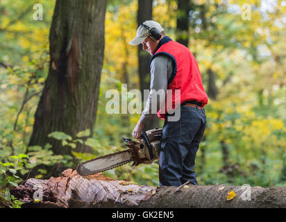 Man cutting a branch with chainsaw Stock Photo